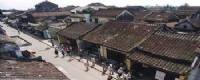 TOURISTS IN Hoi An Town 1 day tours - TL302 